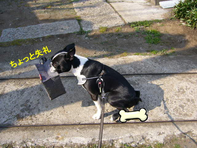 d0070702_047647.jpg