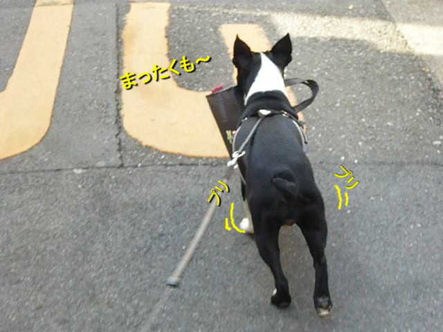 d0070702_0491519.jpg