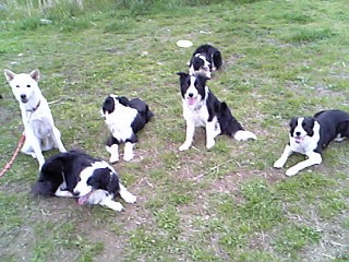 c0133303_022552.jpg