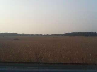 d0149105_19471555.jpg