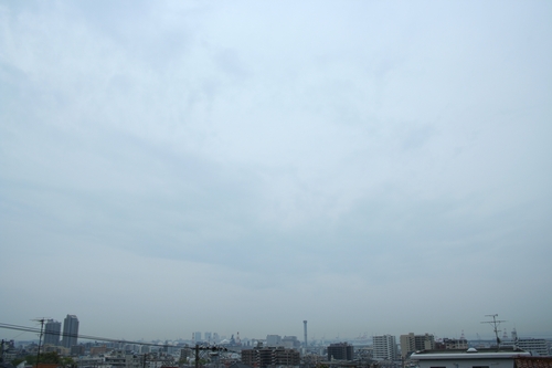 d0131006_728387.jpg