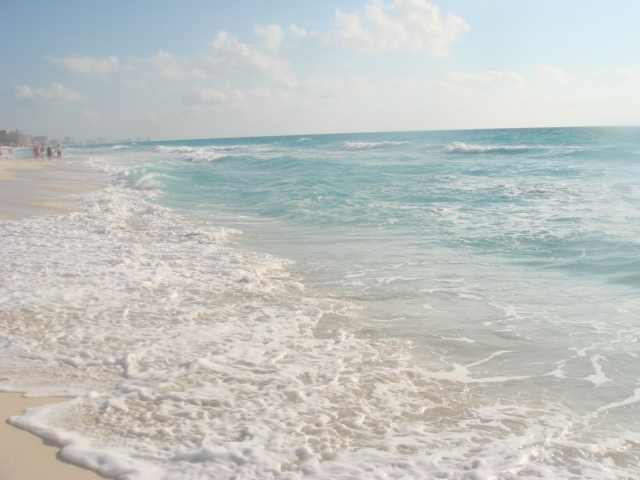 b0130809_6515765.jpg