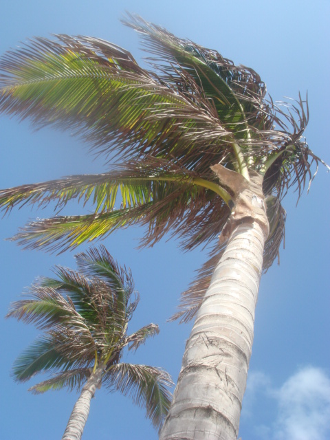 b0130809_6552120.jpg