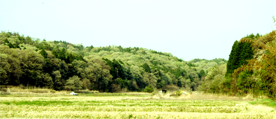 c0011009_2351073.jpg