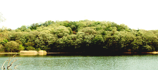 c0011009_2351424.jpg