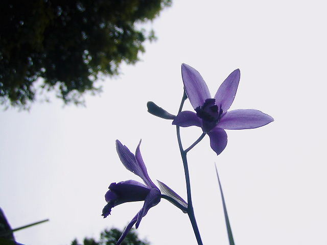 d0037110_20575945.jpg