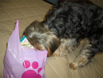 c0143711_11594917.gif