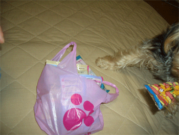 c0143711_120058.gif