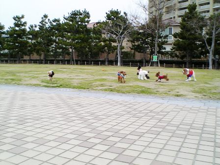 e0119017_13586.jpg
