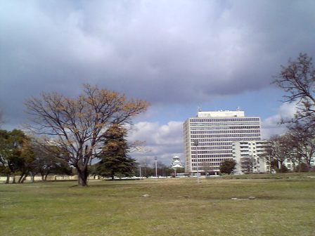 e0119017_55872.jpg