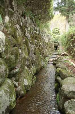 e0110719_8214492.jpg