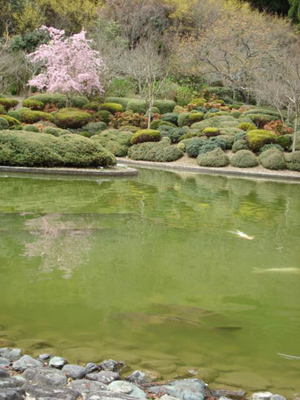 e0110719_8224939.jpg