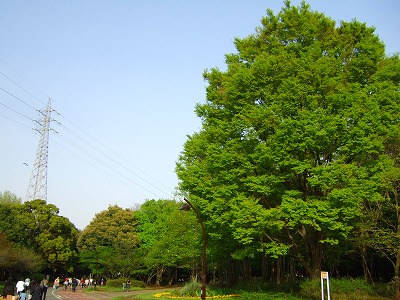 d0023323_2161869.jpg