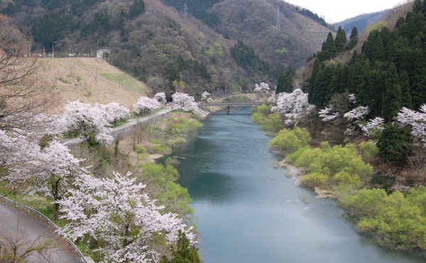 a0041925_042130.jpg