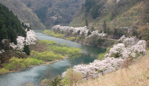a0041925_04949.jpg