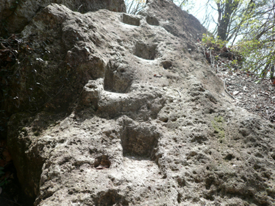 a0049226_2173262.jpg