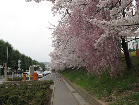 d0004426_1249668.jpg