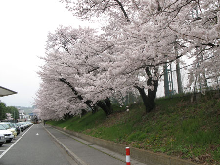d0004426_12513927.jpg