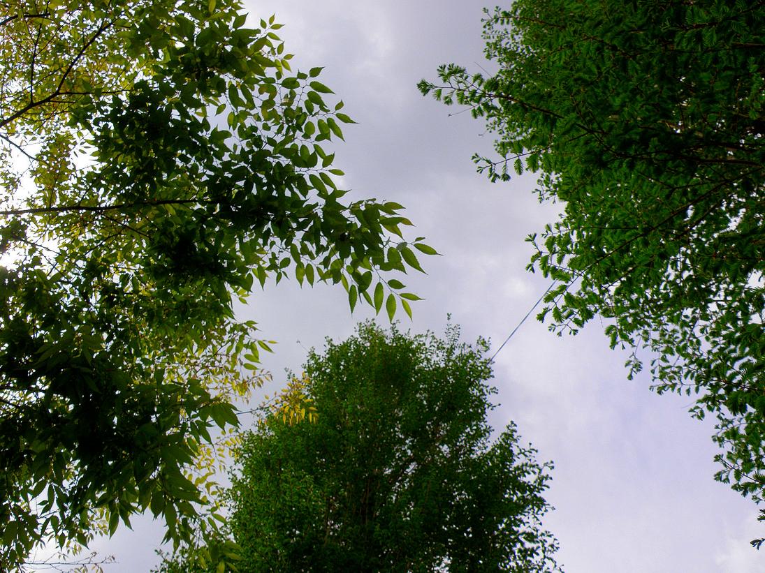 d0118729_22481466.jpg