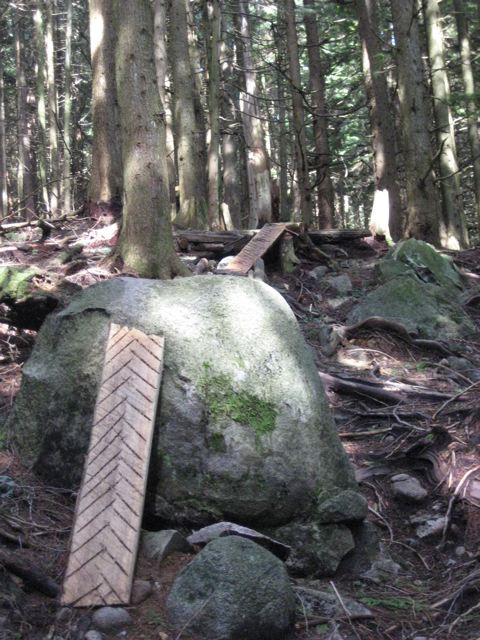 e0128129_10342688.jpg
