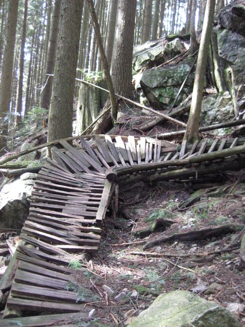 e0128129_10432040.jpg