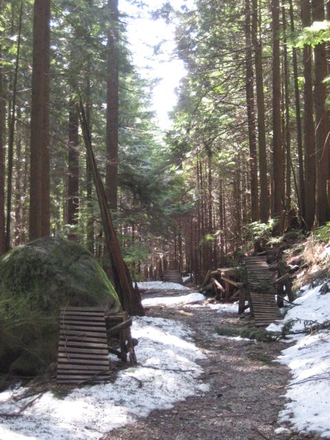 e0128129_10484353.jpg