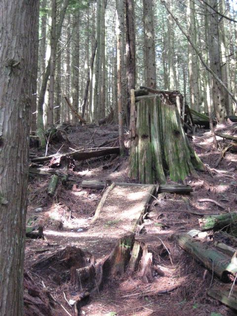 e0128129_105104.jpg