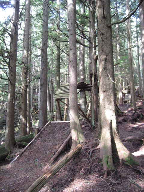e0128129_10523062.jpg
