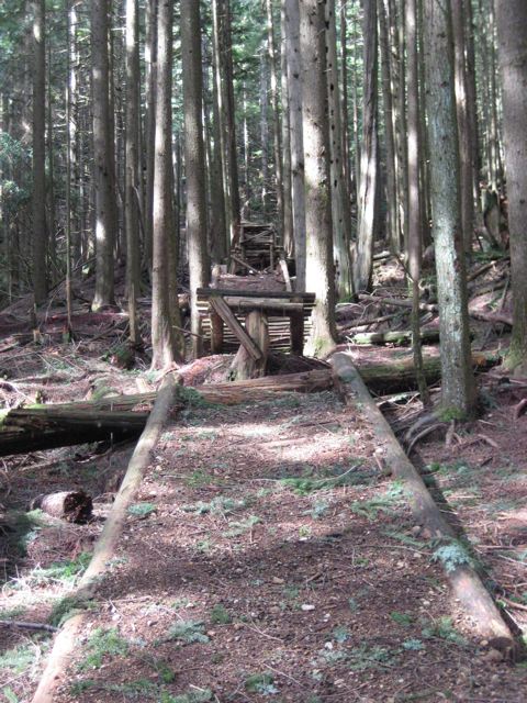e0128129_1057212.jpg