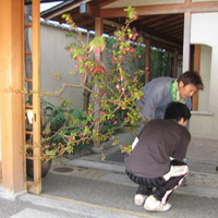 d0033734_11504623.jpg
