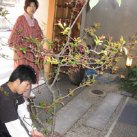 d0033734_1212071.jpg