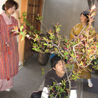 d0033734_1214424.jpg