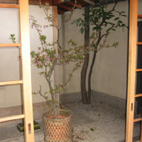 d0033734_129195.jpg