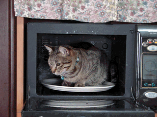 c0136736_20155537.gif