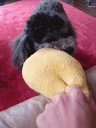 c0136736_2024095.gif