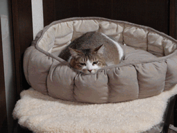 c0136736_20615100.gif