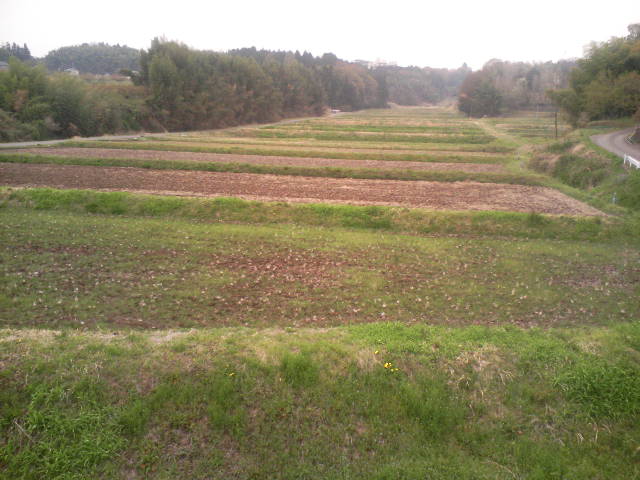 f0127441_2136217.jpg