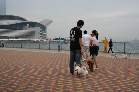 e0018143_15202557.jpg