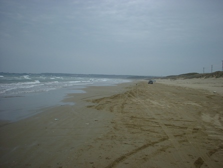 c0122445_1722562.jpg
