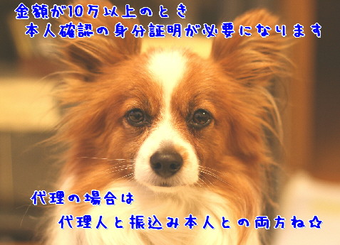 d0013149_92515.jpg