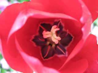 e0138350_16254742.jpg