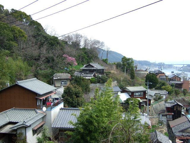 e0135351_675716.jpg