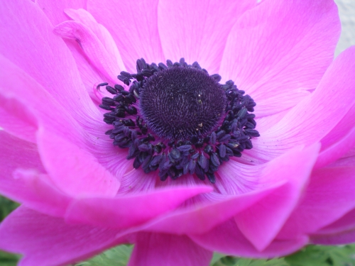 c0118352_2333278.jpg