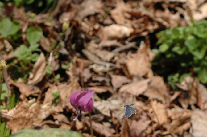 d0098057_616647.jpg