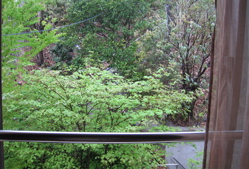 c0153259_2252554.jpg