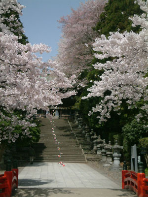 c0050264_11223166.jpg