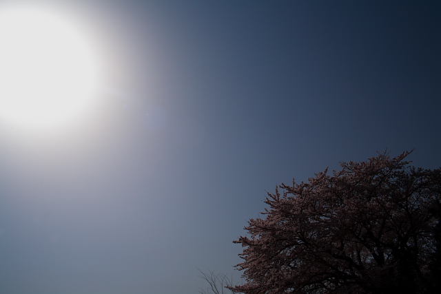 b0041767_3134844.jpg