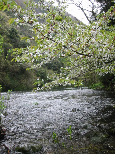 d0094868_19432693.jpg