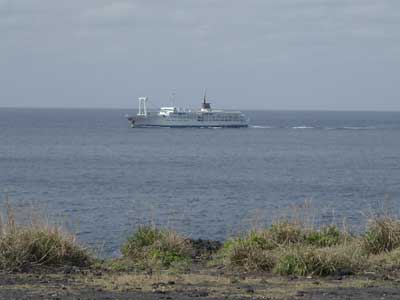 e0097770_115945.jpg