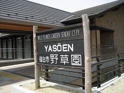 e0106372_12441228.jpg